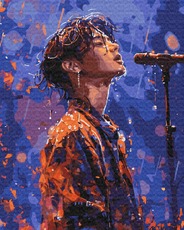 BS54037 Картина за номерами K-pop співак