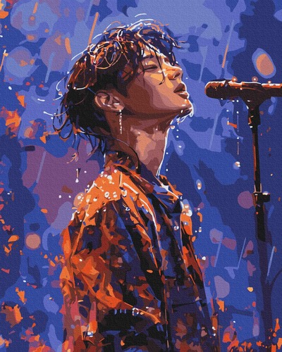 BS54037 Картина за номерами K-pop співак