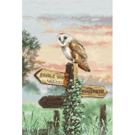 Набір для вишивання LETISTITCH Barn Owl L8031
