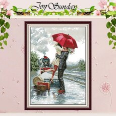 JoySunday  Набір для вишивання Meet Again з нанесеною на канву схемою